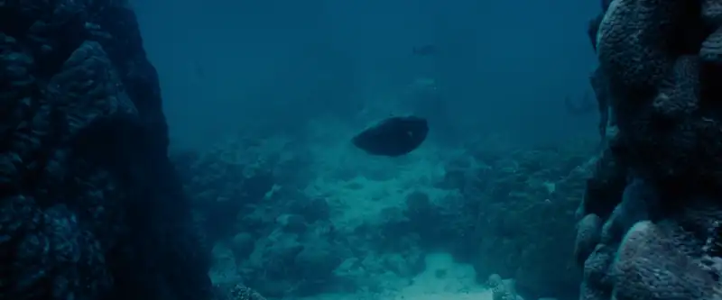 Blueback Screenshot 4
