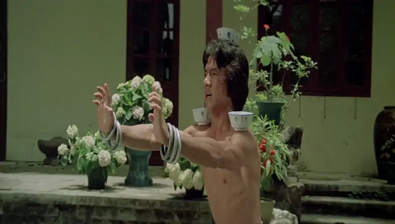 Drunken Master Screenshot 2