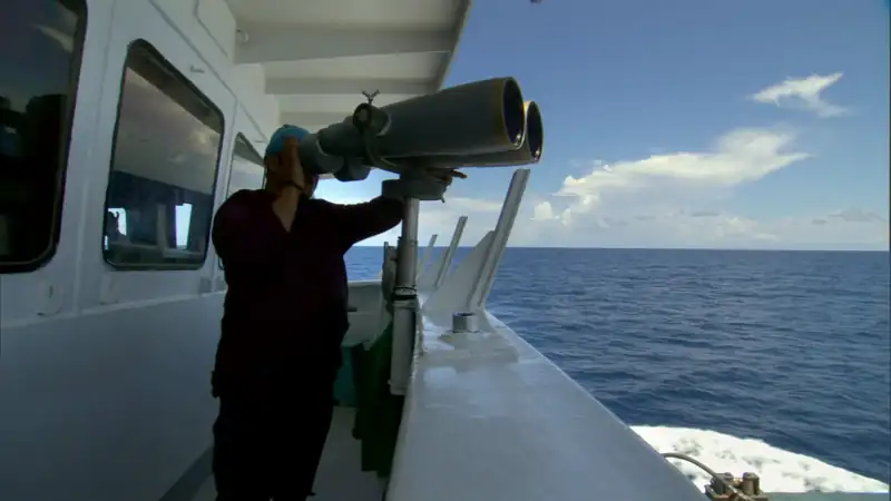 South Pacific Screenshot 4