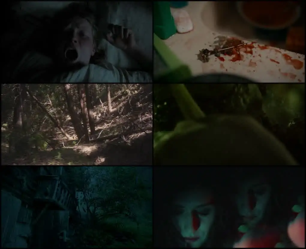 The Field Guide to Evil Screenshot 1