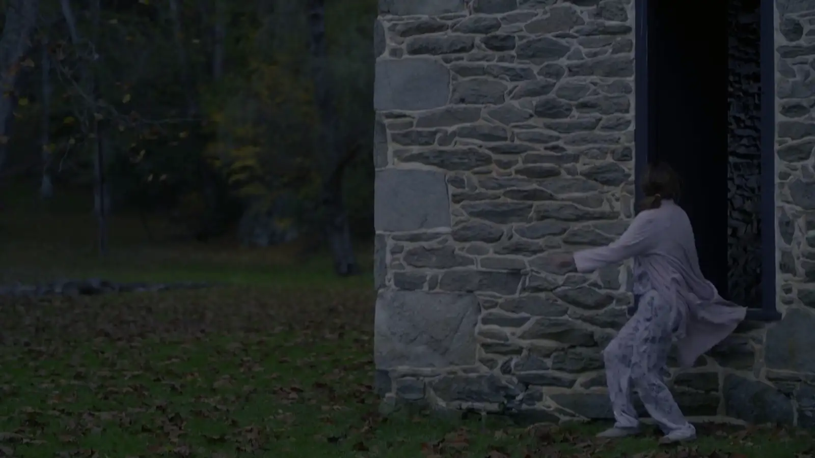 The Surprise Visit Screenshot 2