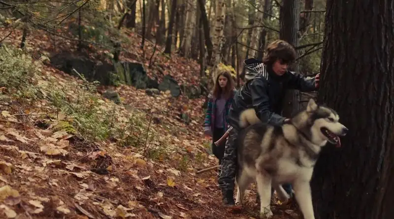 Against The Wild III: The Journey Home / Hero Dog: The Journey Home Screenshot 5