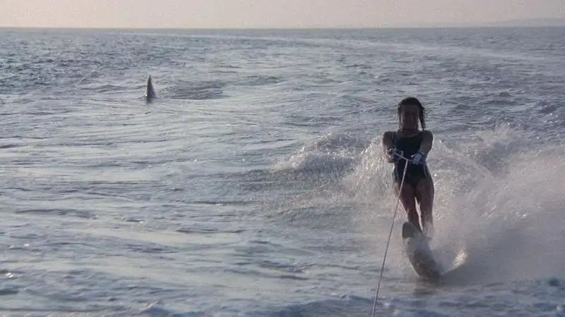 Jaws 2 Screenshot 4
