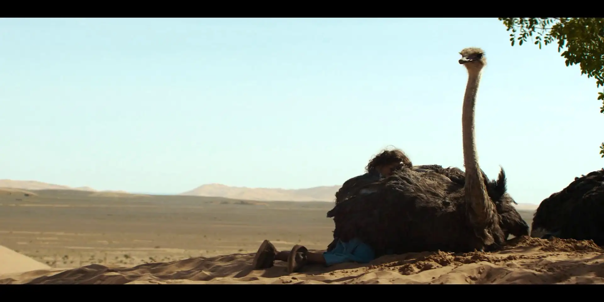 The Desert Child Screenshot 2