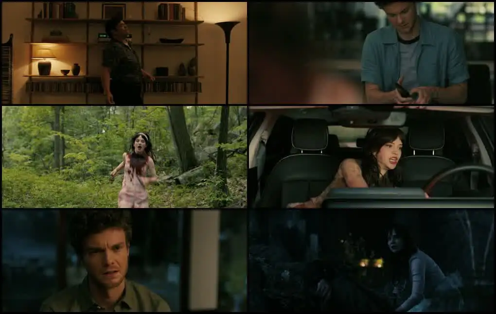 Companion Screenshot 1