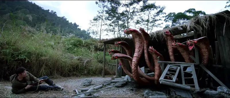 Variation Hydra Screenshot 4