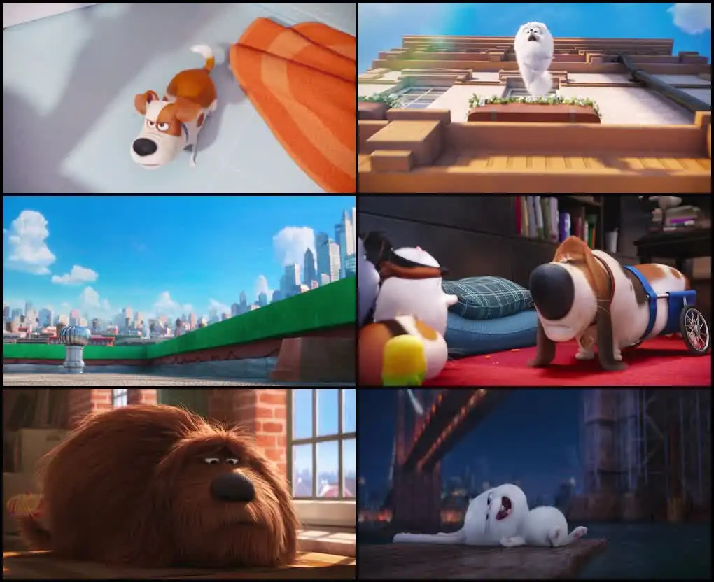 The Secret Life of Pets Screenshot 1 The Secret Life of Pets Screenshot 1