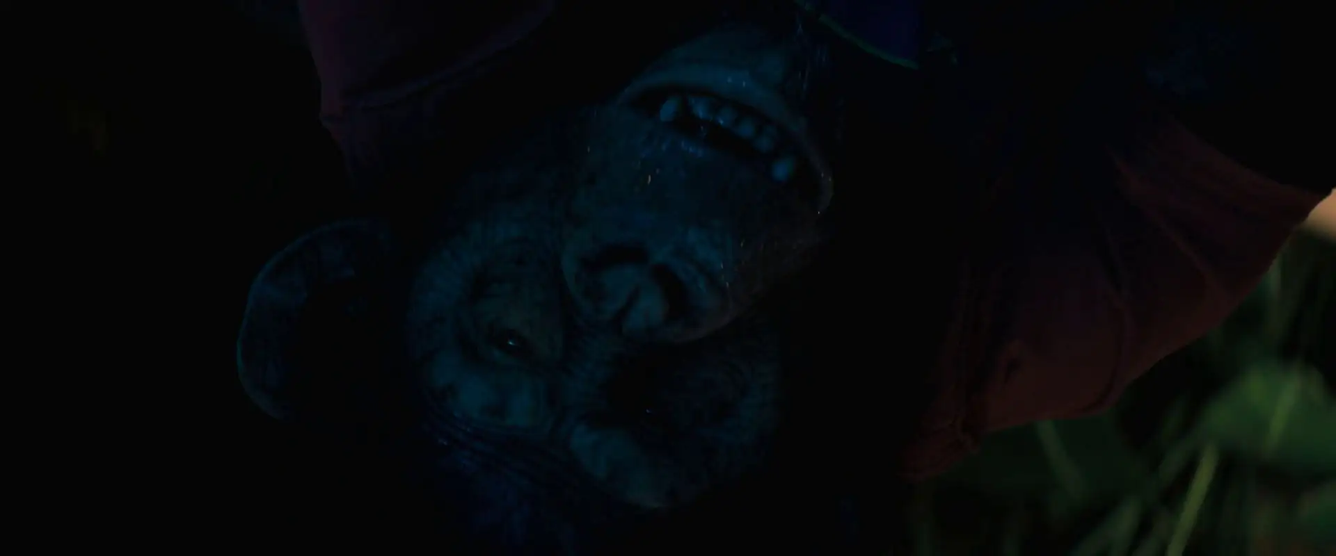 Primate Screenshot 1