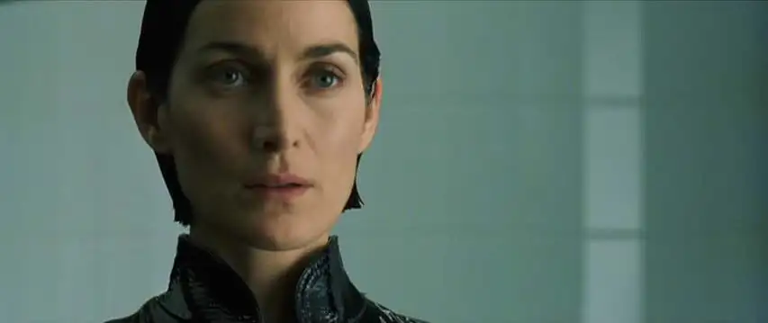 The Matrix Revolutions Screenshot 4