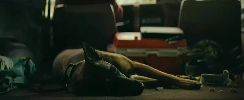 Dog Screenshot 2