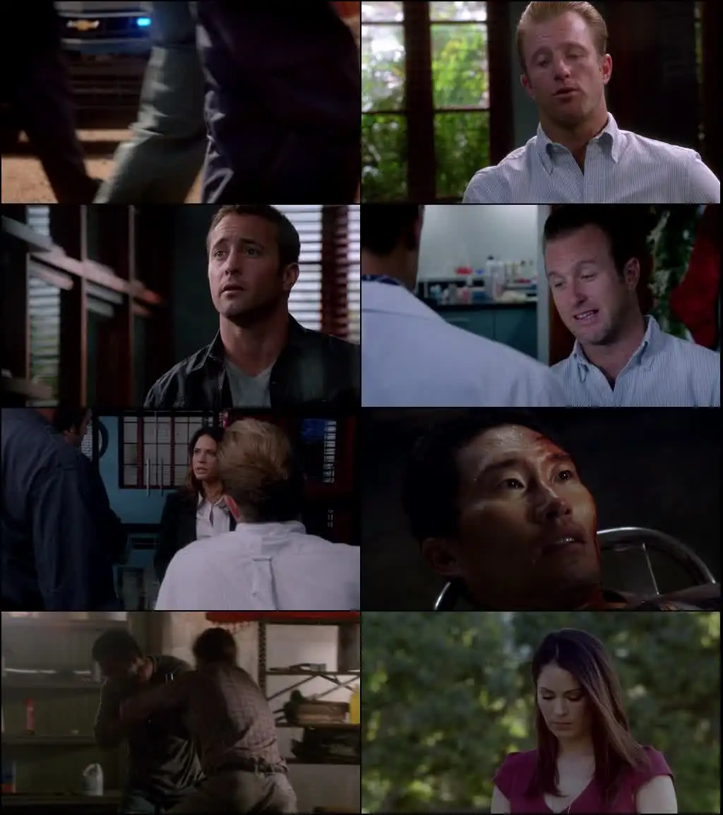 Hawaii Five-0 Screenshot 1