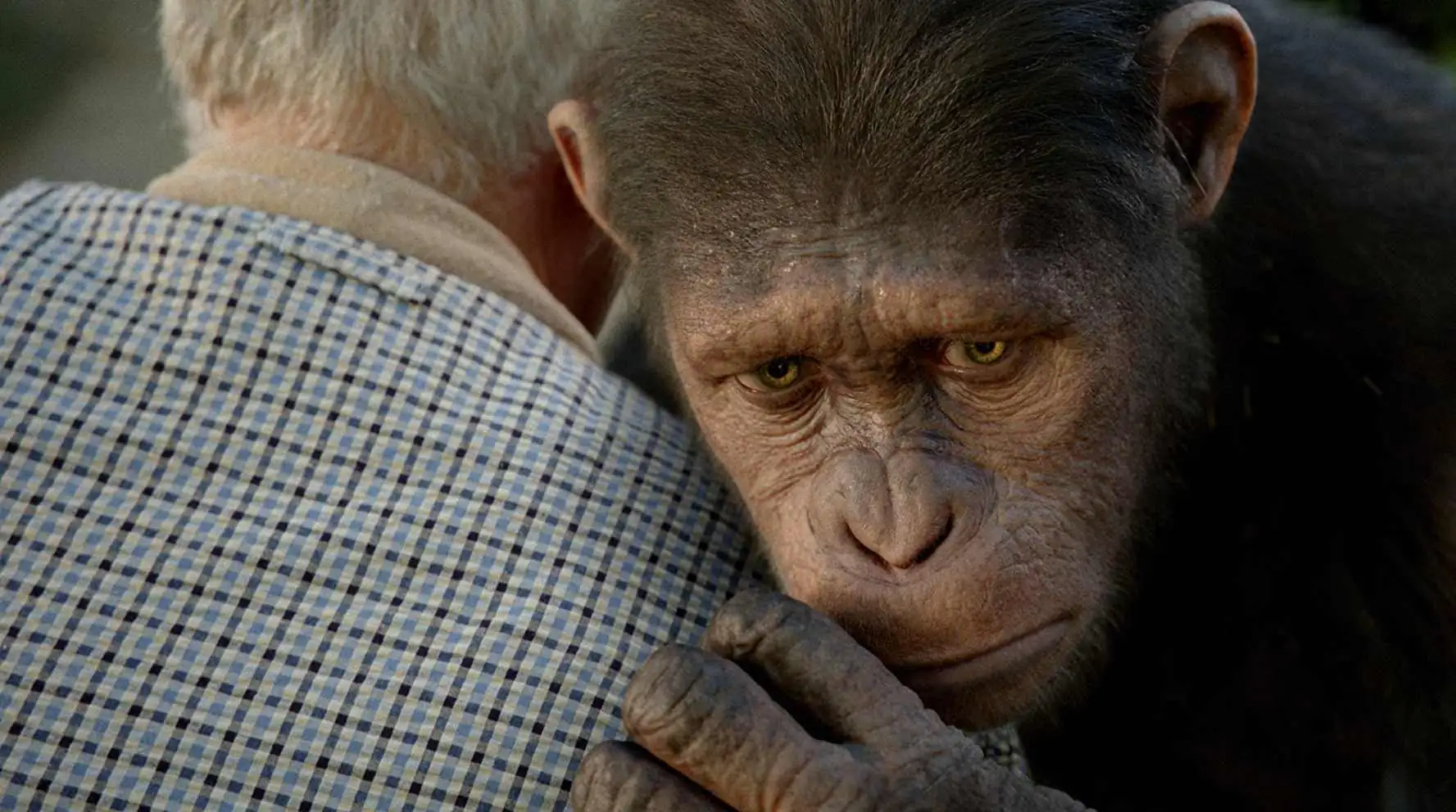 Rise of the Planet of the Apes Screenshot 1 Rise of the Planet of the Apes Screenshot 1
