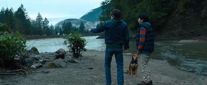 A Dogs Way Home Screenshot 4 A Dogs Way Home Screenshot 4