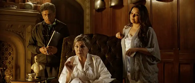 Shaandaar Screenshot 2