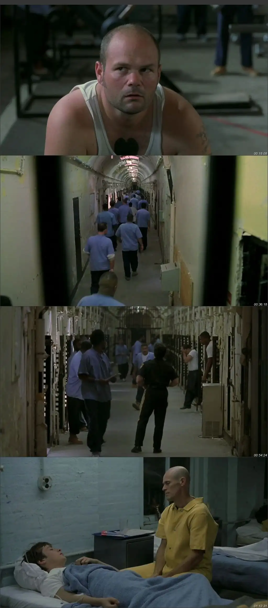 Animal Factory Screenshot 1