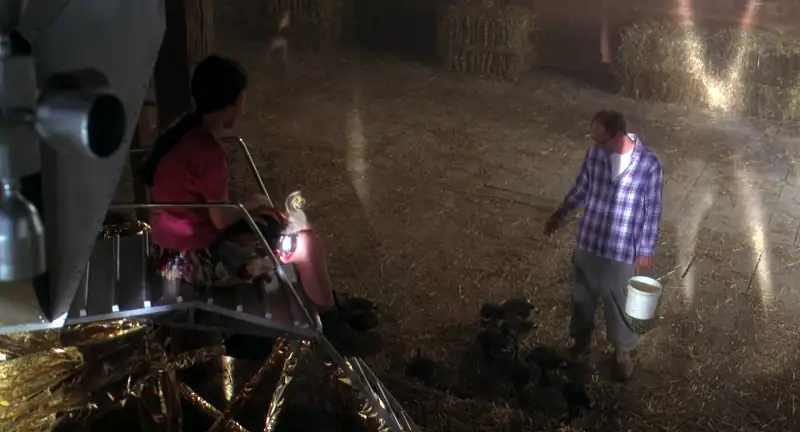 Fly Away Home Screenshot 2
