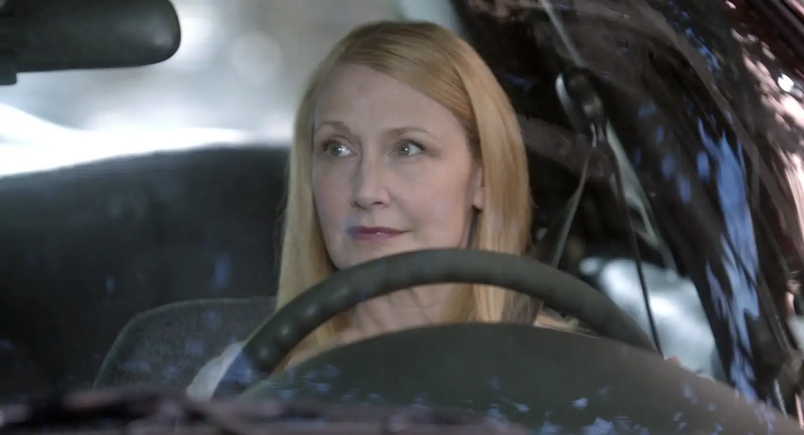 Learning To Drive Screenshot 4