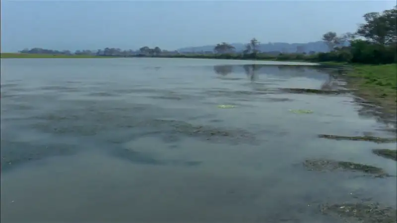 Ganges Screenshot 2 Ganges Screenshot 2