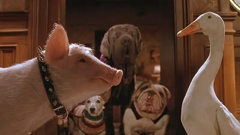 Babe Pig In The City Screenshot 2