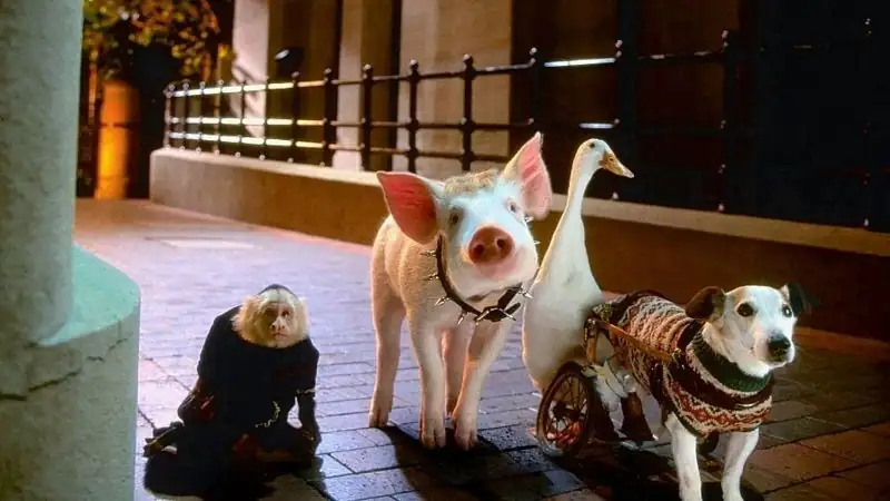 Babe Pig In The City Screenshot 3