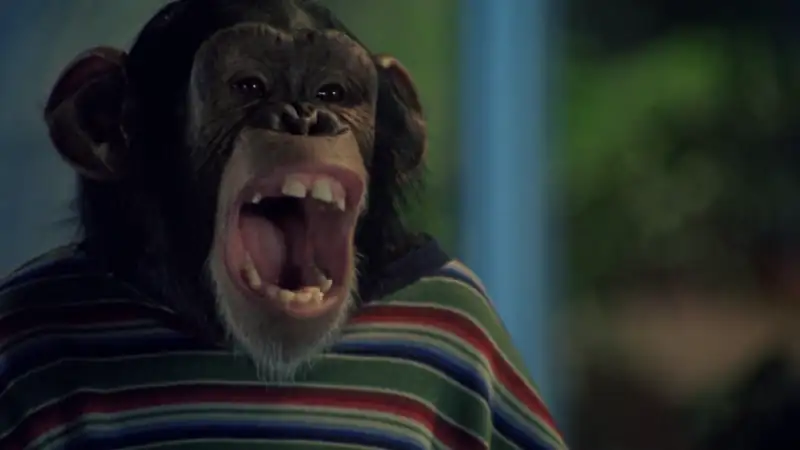 MVP Most Valuable Primate Screenshot 1