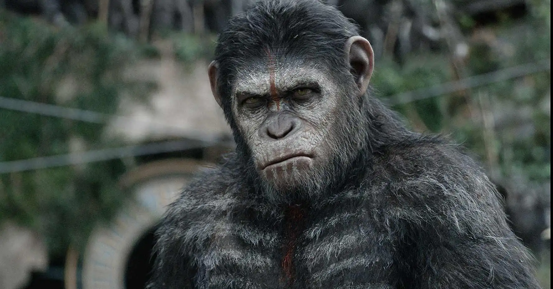 Dawn of the Planet of the Apes Screenshot 2