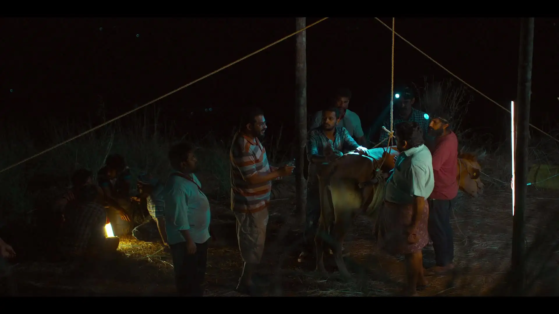 Palthu Janwar Screenshot 4