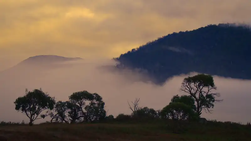 Kangaroo Valley Screenshot 3