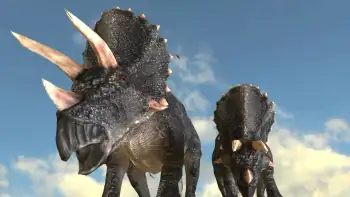 Star Paws Screenshot 2 Star Paws Screenshot 2