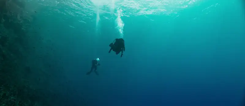 The Dive Screenshot 1