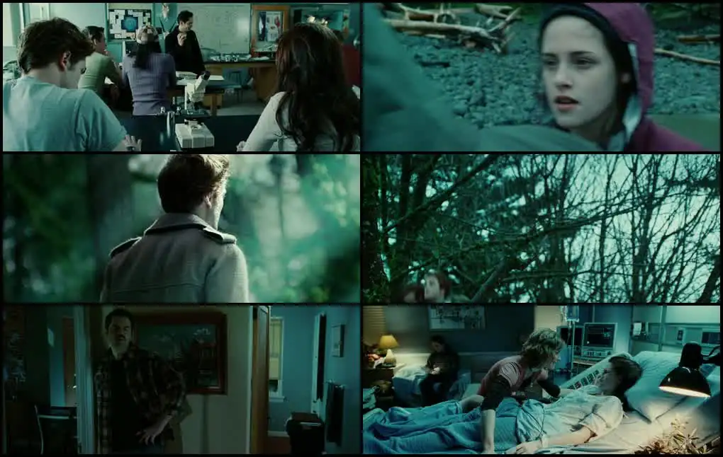 Twilight Screenshot 1 Twilight Screenshot 1