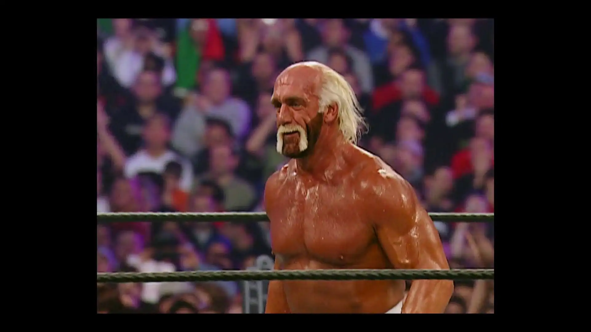 Hulk Hogan: Real American Screenshot 5