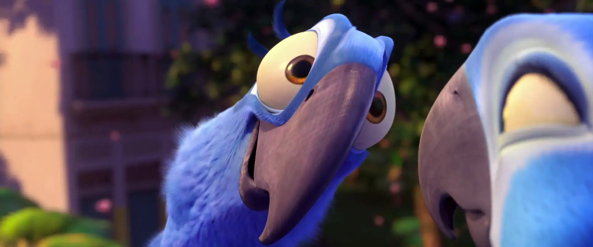 Rio Screenshot 4