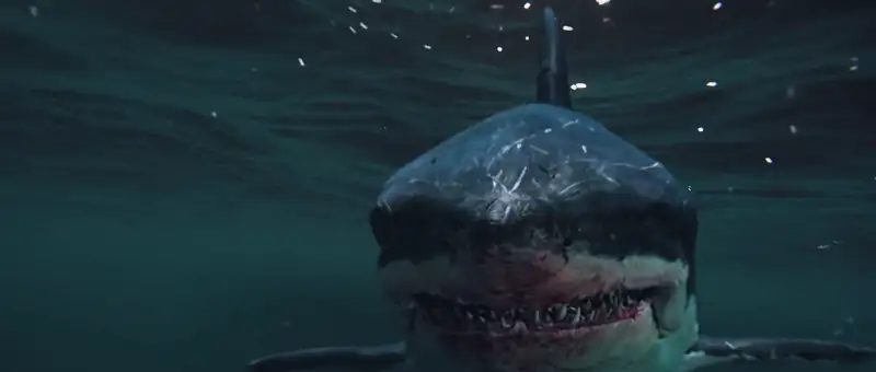 Huge Shark Screenshot 5 Huge Shark Screenshot 5