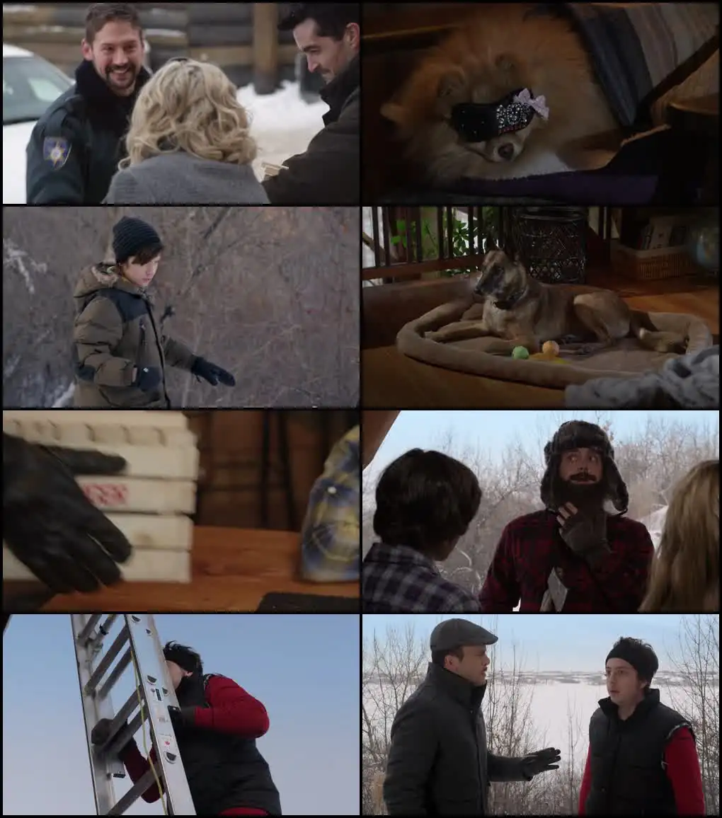 Step Dogs Screenshot 1