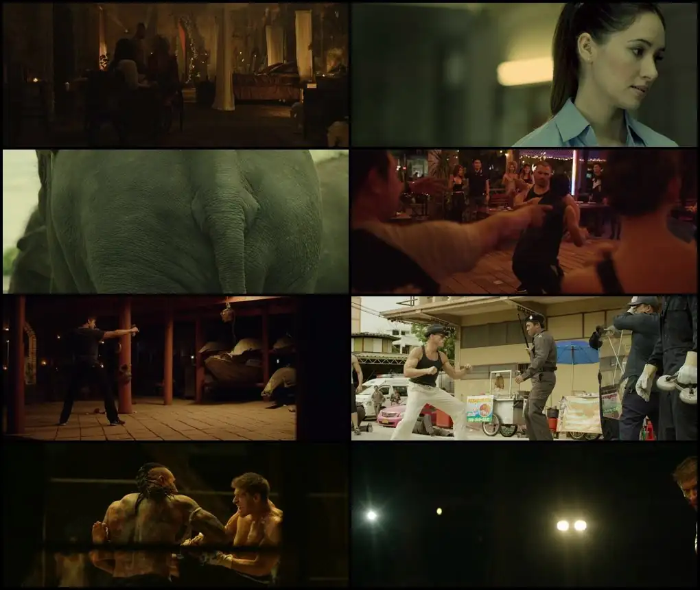 Kickboxer: Vengeance Screenshot 1