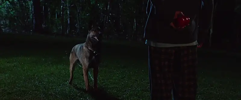 Max Screenshot 2