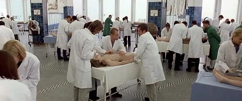 Anatomy Screenshot 1