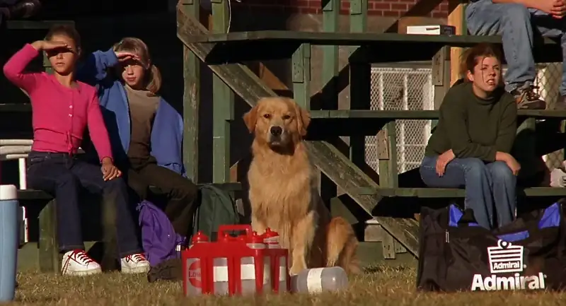 Air Bud: World Pup Screenshot 3