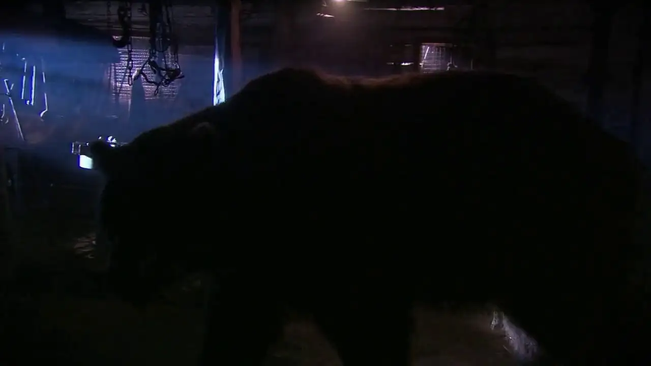 Grizzly Rage Screenshot 6