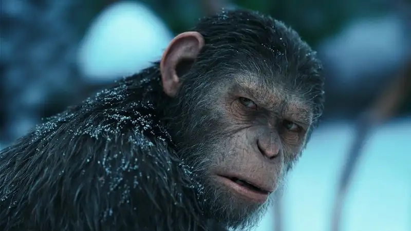 War for the Planet of the Apes Screenshot 1