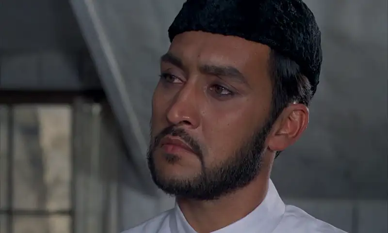 A Passage to India Screenshot 3
