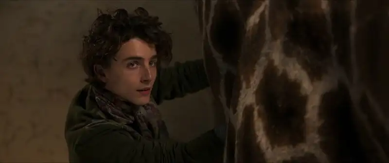 Wonka Screenshot 4