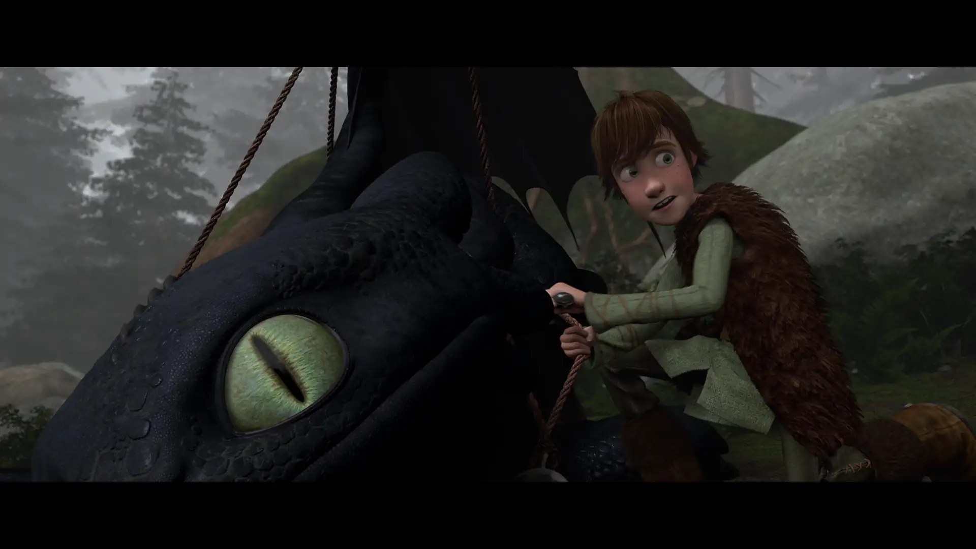 How to Train Your Dragon Screenshot 3