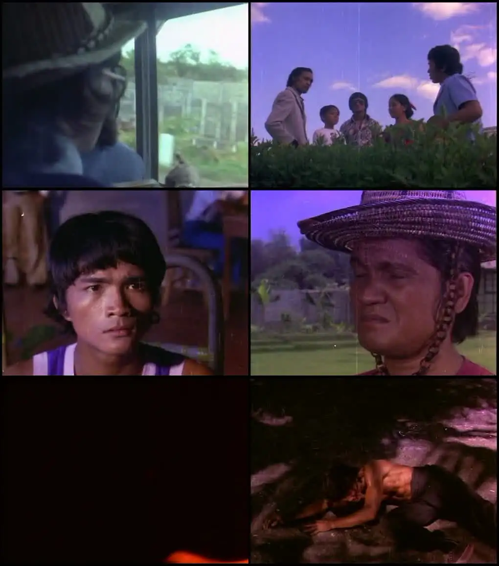 Chaku Master Screenshot 1