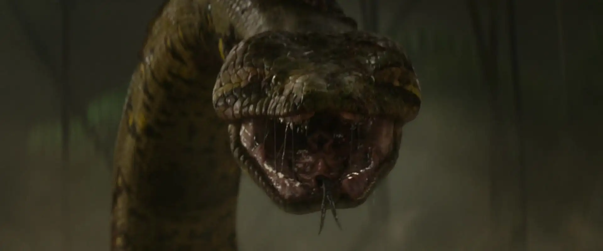 Anaconda Screenshot 6