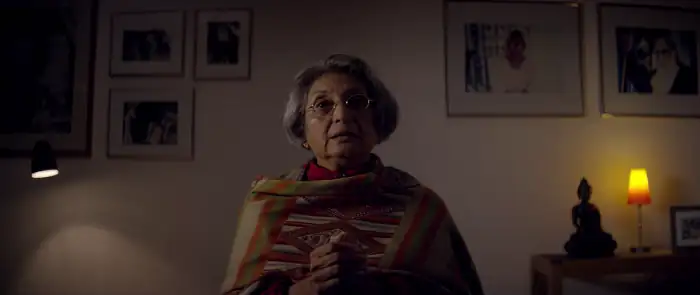 Wild Wild Country Screenshot 1