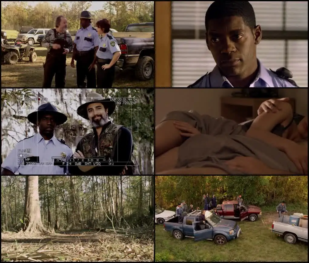 Alligator Alley Screenshot 1