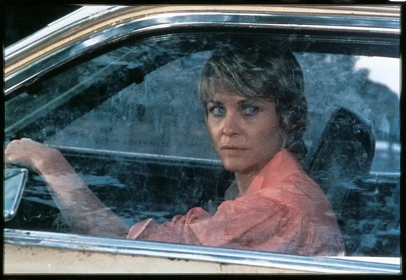 Cujo Screenshot 4