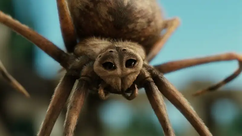Charlotte’s Web Screenshot 3 Charlotte’s Web Screenshot 3